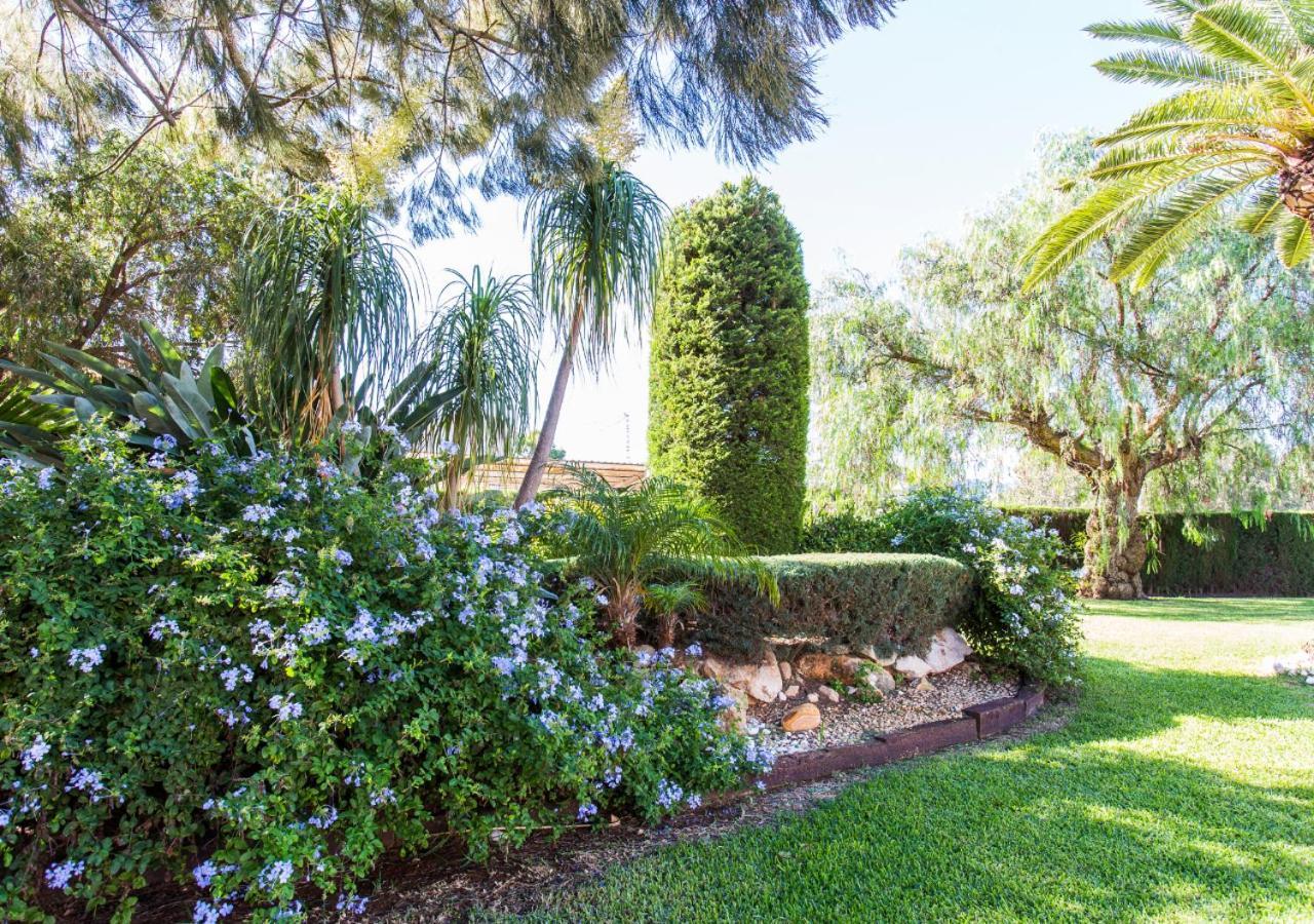 Villa Casa Segaria à Dénia Extérieur photo